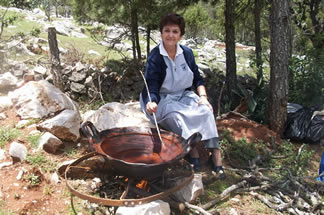 Voluntarias Vicentinas