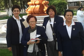 Voluntarias Vicentinas